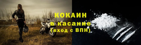 гидра Богданович