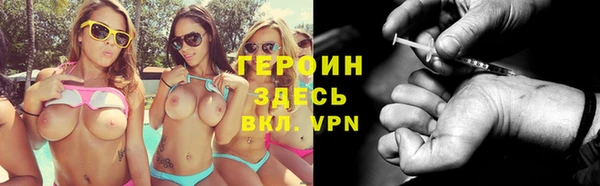 гидра Богданович