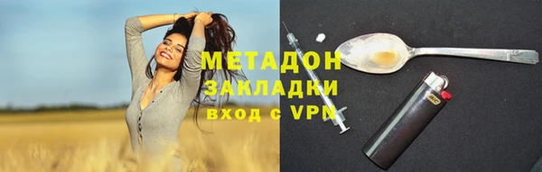 гидра Богданович