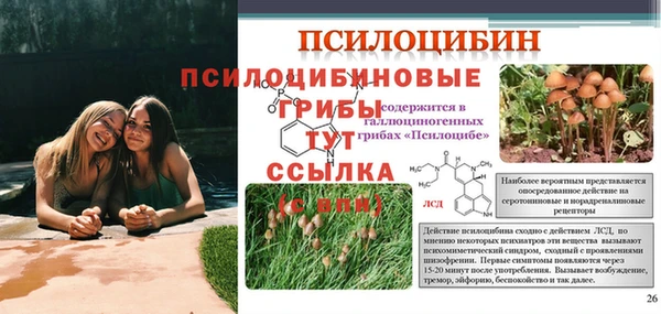 гидра Богданович