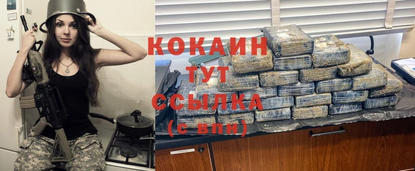 гидра Богданович
