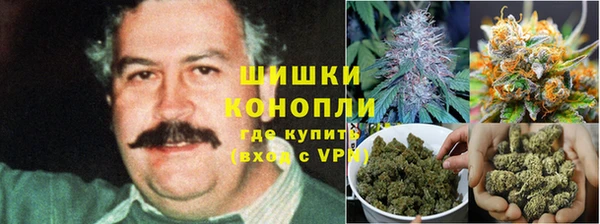 гидра Богданович