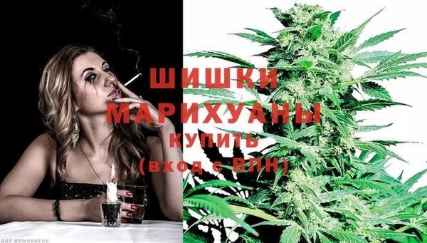 гидра Богданович
