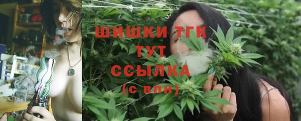 гашик Богородск