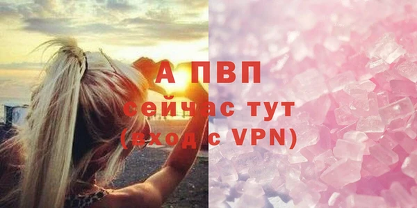 гидра Богданович